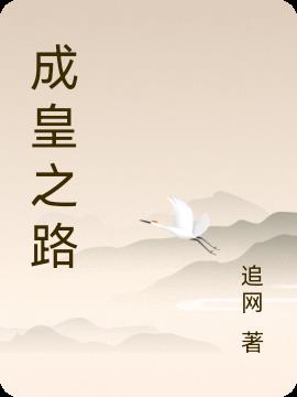 成都蓉城vs上海申花