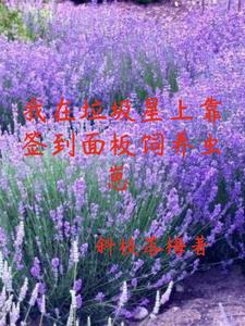 两只虫的动画片叫什么名字